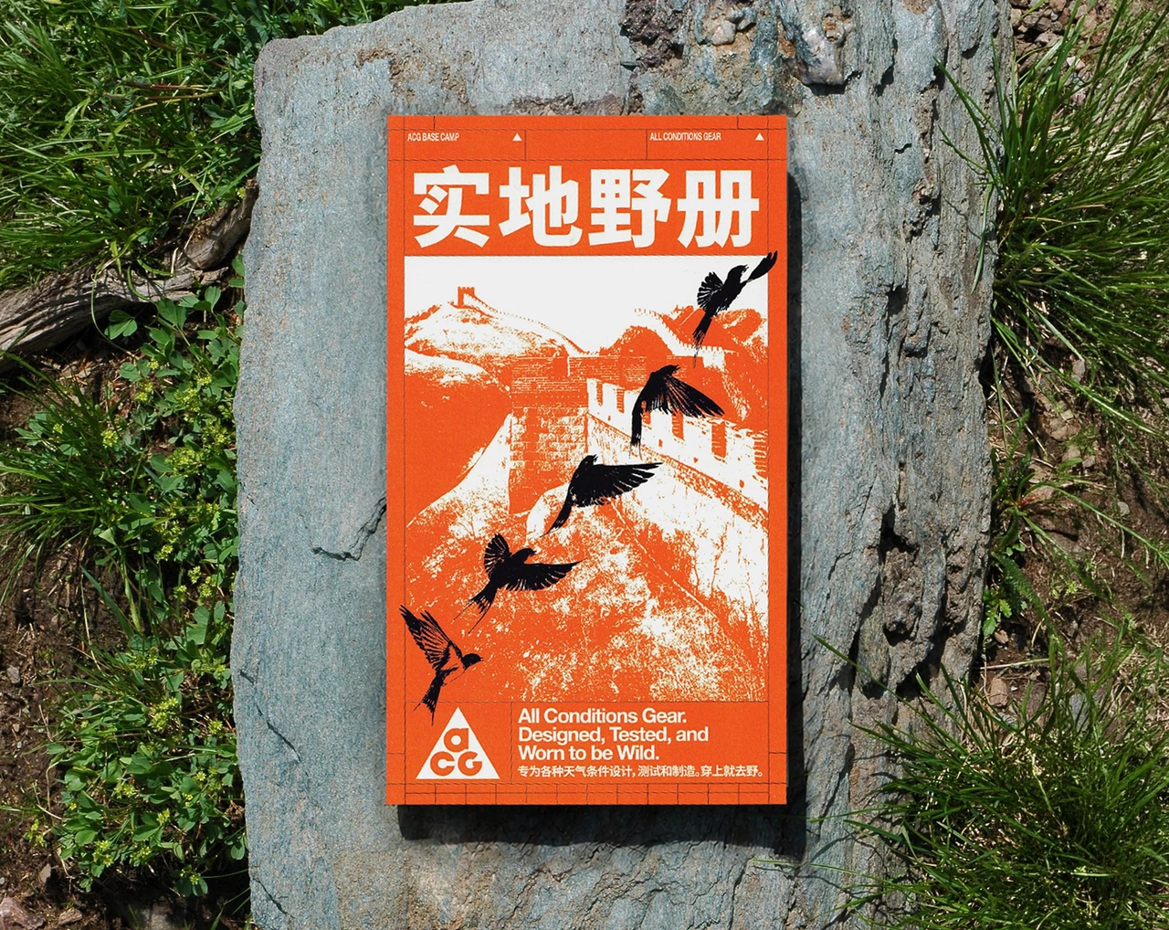 ACG