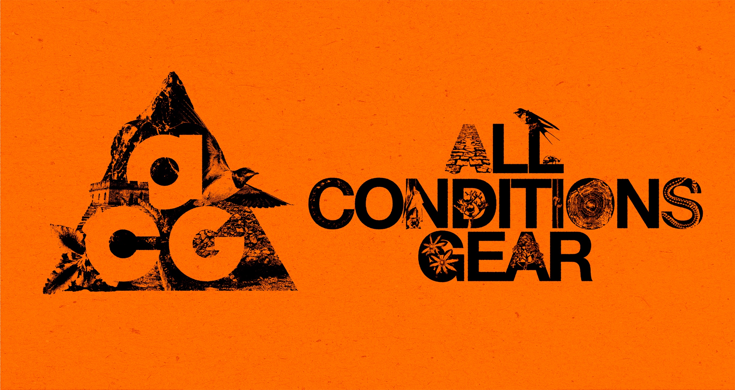 ACG BY YOU